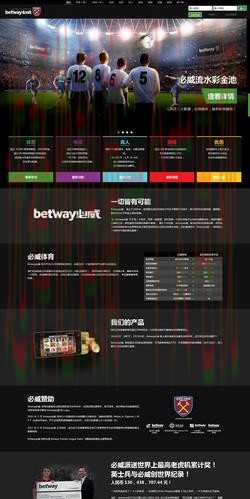 全面解析必威正规版使用指南